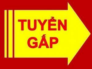 Công Ty Tnhh Vận Tải Và Du Lịch 
