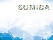 Công Ty Tnhh Điện Tử Sumida Quảng Ngãi