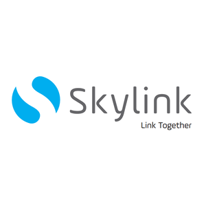 Công Ty Tnhh Skylink Group