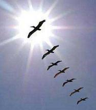 Để mọi người đi theo...