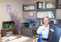 Làm mới ngày làm việc thế nào?