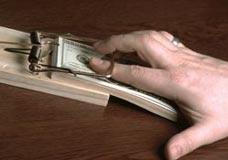 Đối phó với những nhân viên "chôm chỉa"