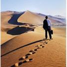 Để lựa chọn một CEO thích hợp