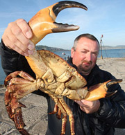 5 nghề lương cao nhưng vẫn bị… chê