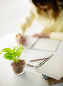 Viết văn và giấc mơ nghề nghiệp.