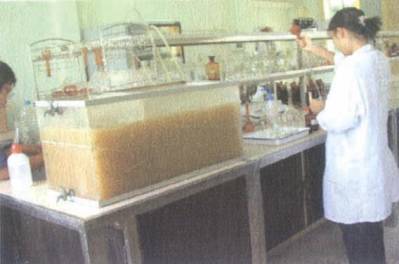 Kỹ sư Môi trường – Nghề hot thời công nghiệp